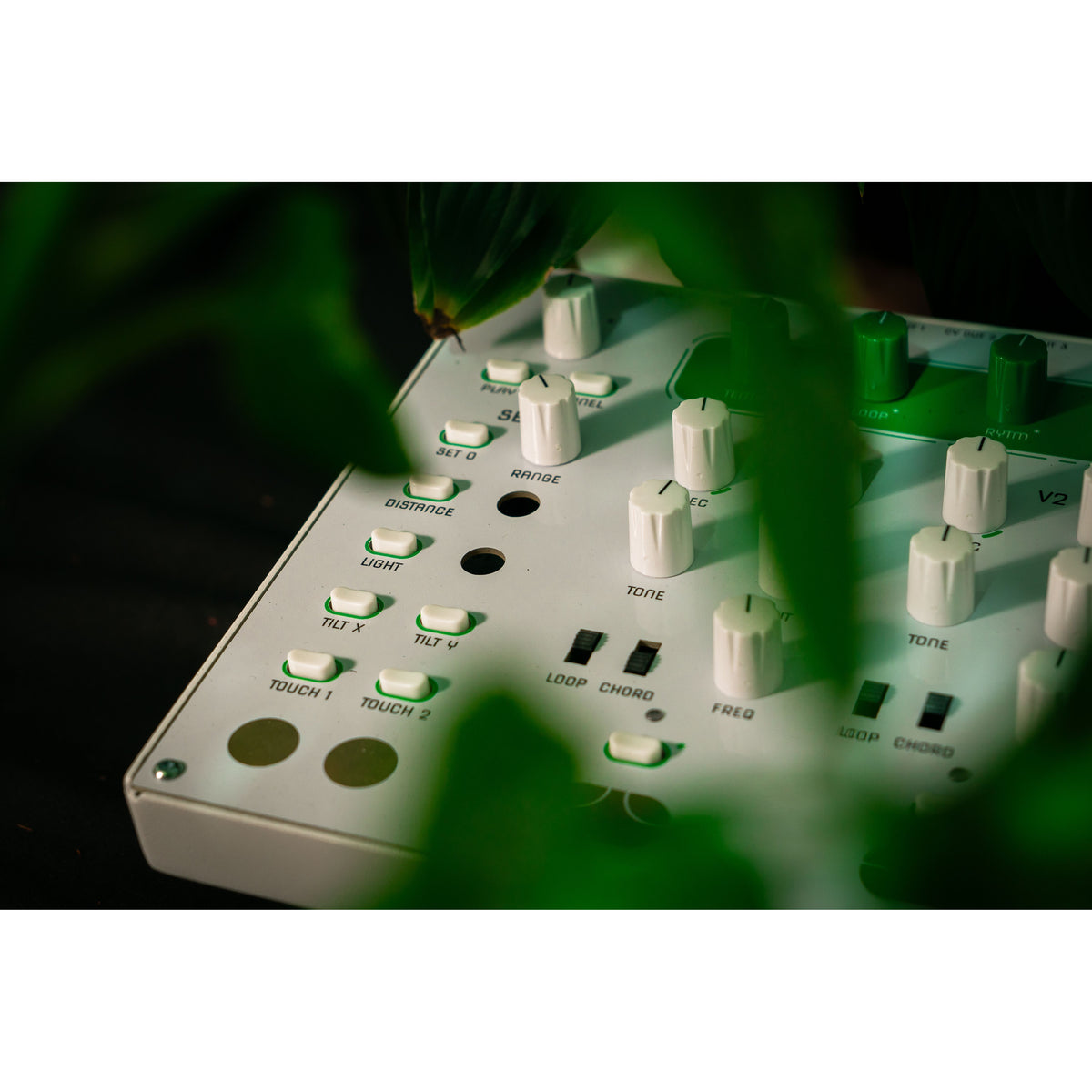 Nahaufnahme von Tasten und Messing-Touchpads des HUM 2 mit Blättern im Vordergrund